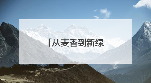 从麦香到新绿 沾化区富源街道全力保障“三夏”生产工作