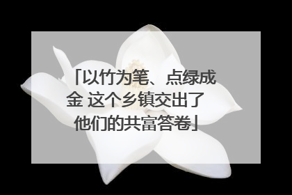 以竹为笔、点绿成金 这个乡镇交出了他们的共富答卷