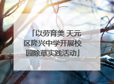 以劳育美 天元区隆兴中学开展校园除草实践活动