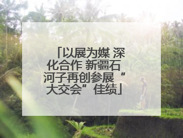 以展为媒 深化合作 新疆石河子再创参展“大交会”佳绩