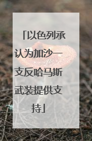 以色列承认为加沙一支反哈马斯武装提供支持