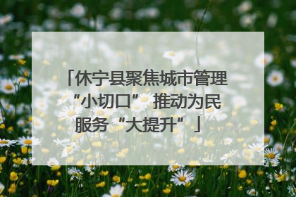 休宁县聚焦城市管理“小切口” 推动为民服务“大提升”