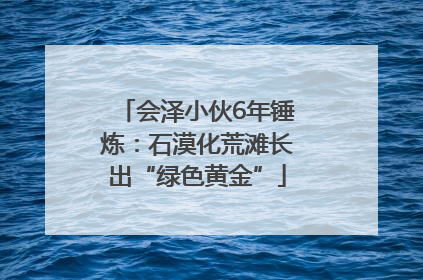会泽小伙6年锤炼：石漠化荒滩长出“绿色黄金”