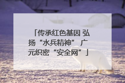 传承红色基因 弘扬“水兵精神” 广元织密“安全网”