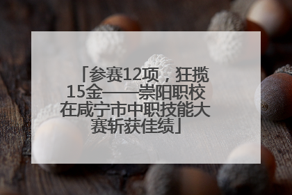 参赛12项，狂揽15金——崇阳职校在咸宁市中职技能大赛斩获佳绩