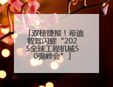 双榜捷报！希迪智驾闪耀“2025全球工程机械50强峰会”