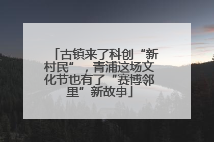 古镇来了科创“新村民”，青浦这场文化节也有了“赛博邻里”新故事