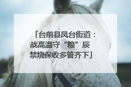 台前县凤台街道：战高温守“粮”辰 禁烧保收多管齐下
