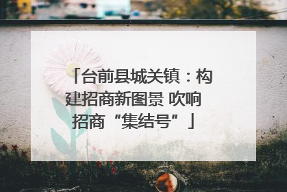台前县城关镇：构建招商新图景 吹响招商“集结号”