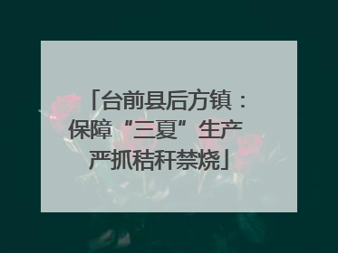 台前县后方镇：保障“三夏”生产 严抓秸秆禁烧