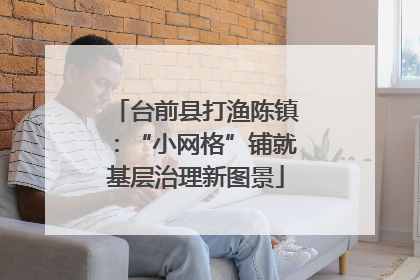 台前县打渔陈镇：“小网格”铺就基层治理新图景