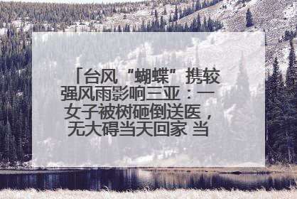 台风“蝴蝶”携较强风雨影响三亚：一女子被树砸倒送医，无大碍当天回家 当地已紧急清障