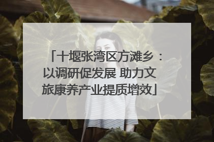 十堰张湾区方滩乡：以调研促发展 助力文旅康养产业提质增效