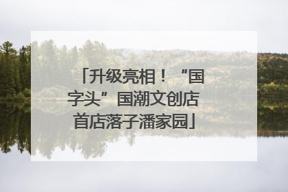 升级亮相！“国字头”国潮文创店首店落子潘家园