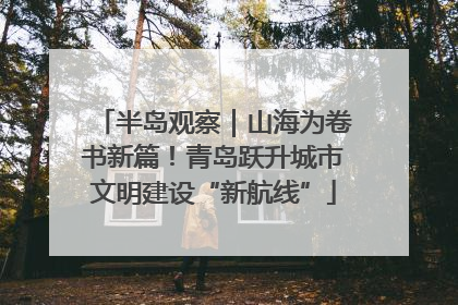 半岛观察｜山海为卷书新篇！青岛跃升城市文明建设“新航线”