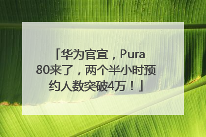 华为官宣，Pura 80来了，两个半小时预约人数突破4万！
