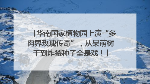 华南国家植物园上演“多肉界玫瑰传奇”，从呆萌树干到炸裂种子全是戏！