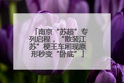 南京“苏超”专列启程，“散装江苏”梗王车厢现原形秒变“卧底”