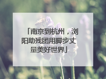 南京到杭州，浏阳助残团用脚步丈量美好世界
