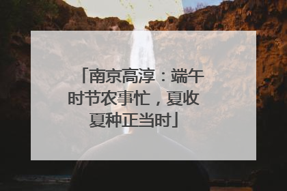 南京高淳：端午时节农事忙，夏收夏种正当时