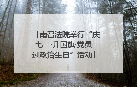 南召法院举行“庆七一·升国旗·党员过政治生日”活动