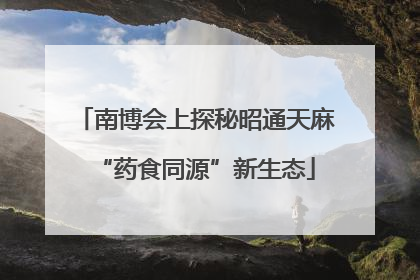 南博会上探秘昭通天麻“药食同源”新生态