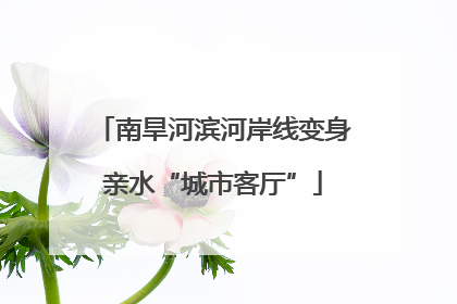 南旱河滨河岸线变身亲水“城市客厅”