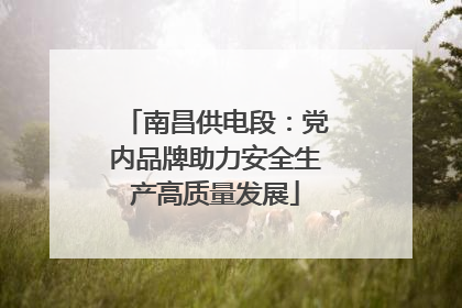 南昌供电段：党内品牌助力安全生产高质量发展
