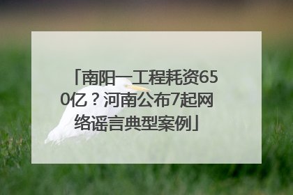 南阳一工程耗资650亿？河南公布7起网络谣言典型案例