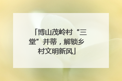 博山茂岭村“三堂”并蒂，解锁乡村文明新风