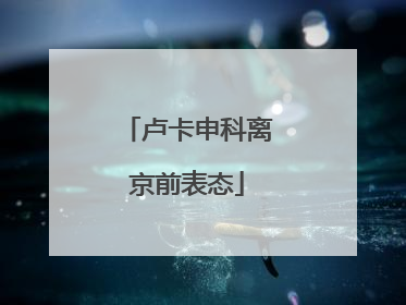 卢卡申科离京前表态