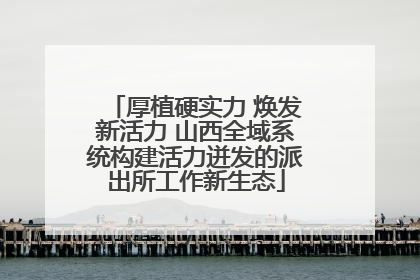 厚植硬实力 焕发新活力 山西全域系统构建活力迸发的派出所工作新生态