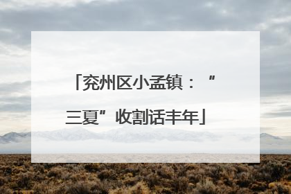 兖州区小孟镇：“三夏”收割话丰年