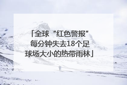 全球“红色警报”  每分钟失去18个足球场大小的热带雨林