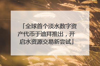 全球首个淡水数字资产代币于迪拜推出，开启水资源交易新尝试