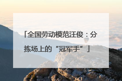 全国劳动模范汪俊：分拣场上的“冠军手”