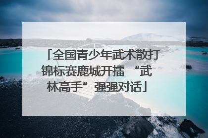全国青少年武术散打锦标赛鹿城开擂 “武林高手”强强对话