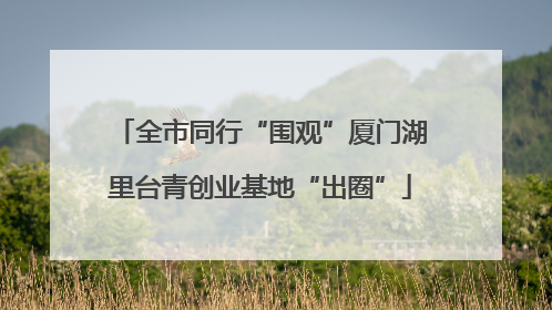全市同行“围观”厦门湖里台青创业基地“出圈”