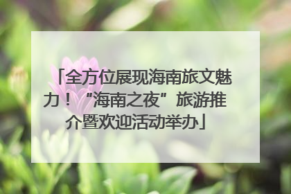 全方位展现海南旅文魅力！“海南之夜”旅游推介暨欢迎活动举办