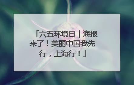 六五环境日｜海报来了！美丽中国我先行，上海行！