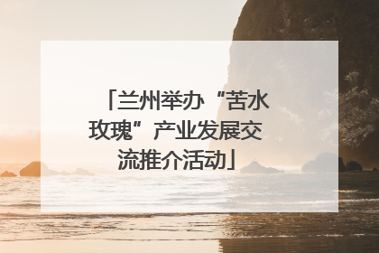 兰州举办“苦水玫瑰”产业发展交流推介活动