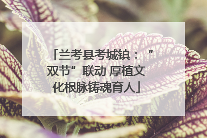 兰考县考城镇：“双节”联动 厚植文化根脉铸魂育人