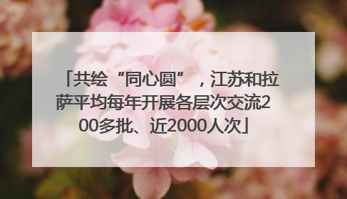共绘“同心圆”，江苏和拉萨平均每年开展各层次交流200多批、近2000人次