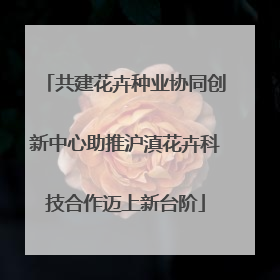 共建花卉种业协同创新中心助推沪滇花卉科技合作迈上新台阶