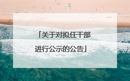 关于对拟任干部进行公示的公告