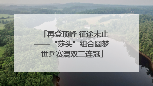 再登顶峰 征途未止——“莎头”组合圆梦世乒赛混双三连冠