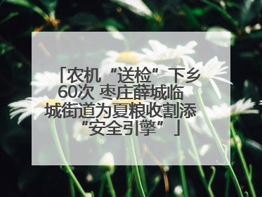 农机“送检”下乡60次 枣庄薛城临城街道为夏粮收割添“安全引擎”