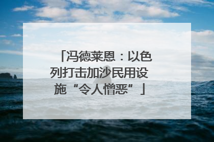 冯德莱恩：以色列打击加沙民用设施“令人憎恶”