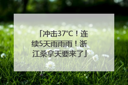 冲击37℃！连续5天雨雨雨！浙江桑拿天要来了