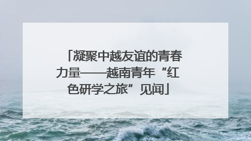 凝聚中越友谊的青春力量——越南青年“红色研学之旅”见闻